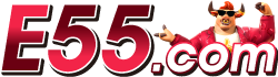 E55.COM